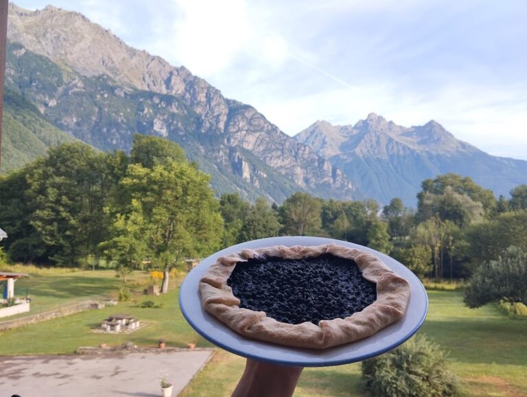 Tarte rustique aux myrtilles sauvages