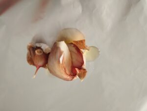 IMG_20240831_193730