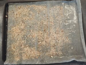 IMG_20241125_105751
